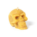 Skull Candle