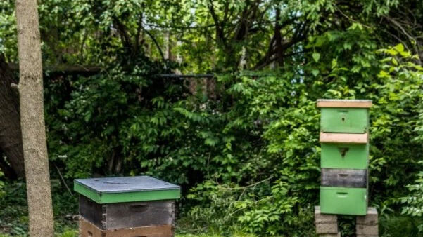 Our beehive boxes
